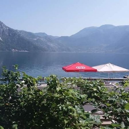 Apartments Dabovic Kotor Ngoại thất bức ảnh