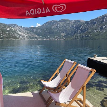 Apartments Dabovic Kotor Ngoại thất bức ảnh