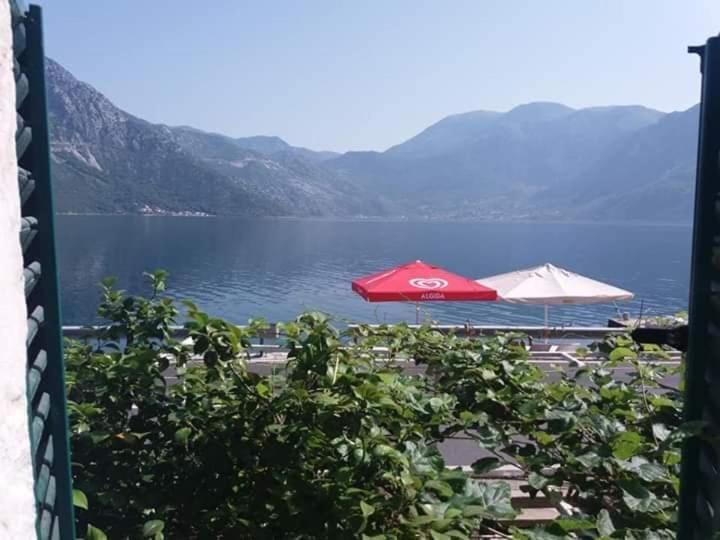 Apartments Dabovic Kotor Ngoại thất bức ảnh