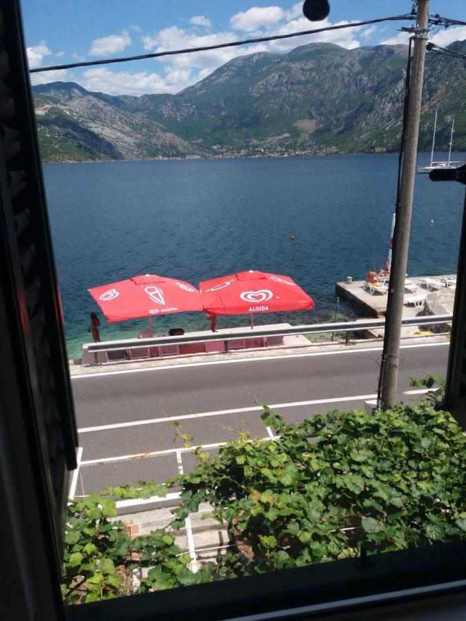 Apartments Dabovic Kotor Ngoại thất bức ảnh
