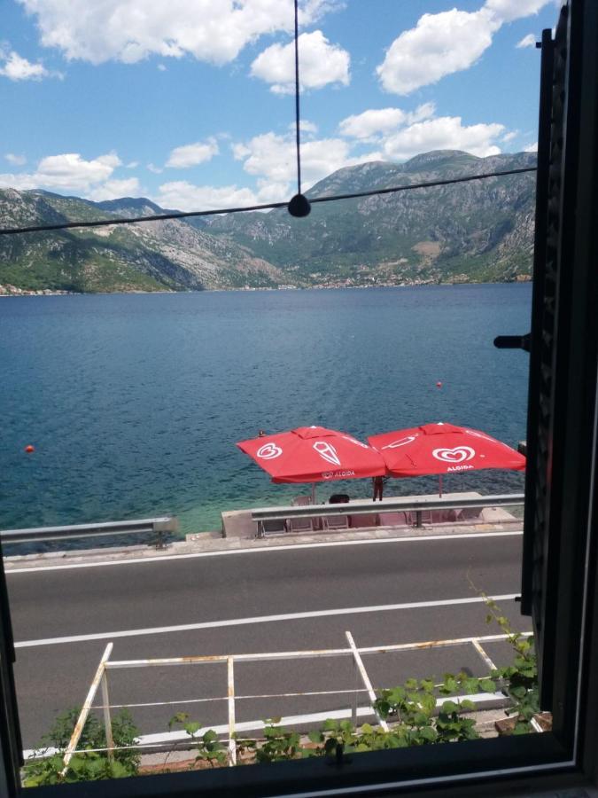 Apartments Dabovic Kotor Ngoại thất bức ảnh