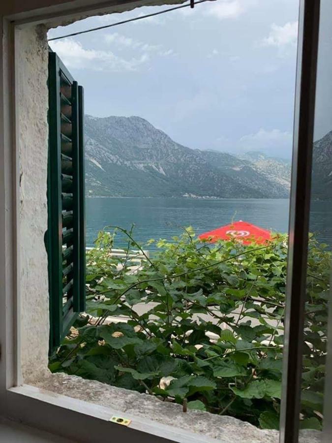 Apartments Dabovic Kotor Ngoại thất bức ảnh