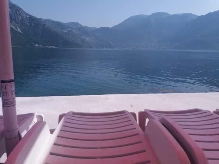 Apartments Dabovic Kotor Ngoại thất bức ảnh